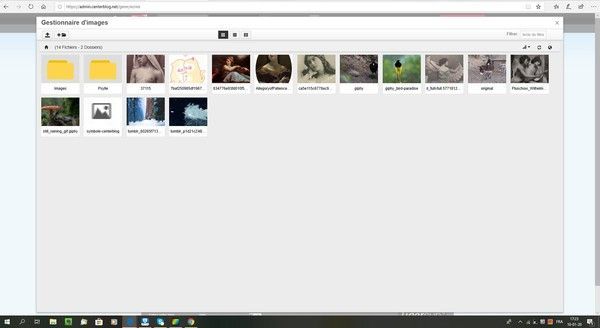 Astuces : Ajouter une ou plusieurs images dans un article.